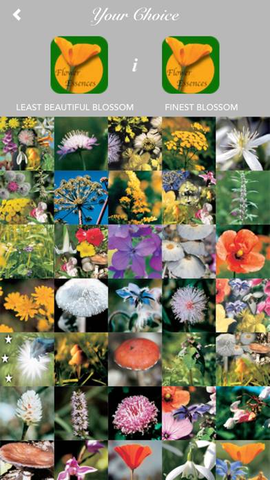 FlowerEssences Schermata dell'app