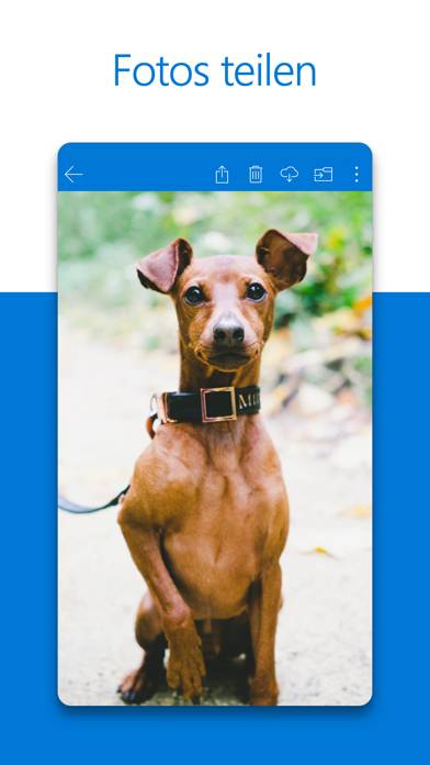 Microsoft OneDrive Schermata dell'app #3