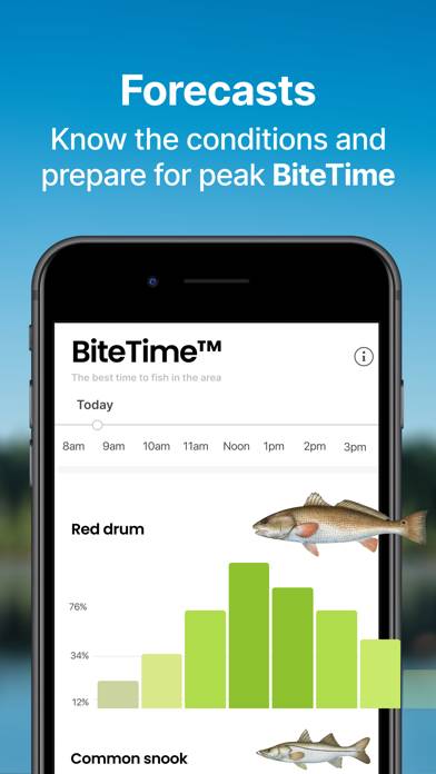Fishbrain App skärmdump #5