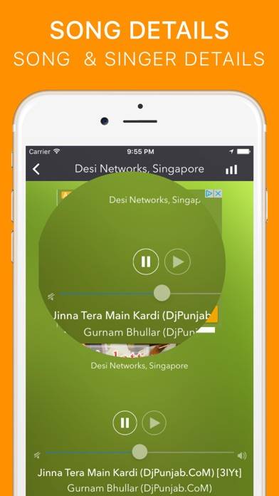 Punjabi Radio Schermata dell'app #2