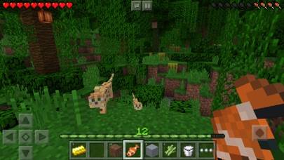 Minecraft App screenshot #1