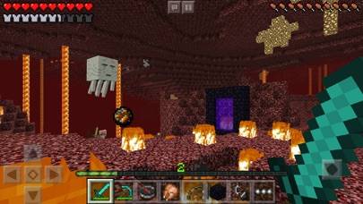 Minecraft Schermata dell'app #2