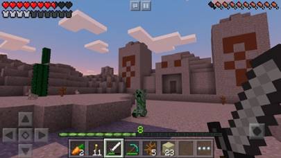 Minecraft Schermata dell'app #4