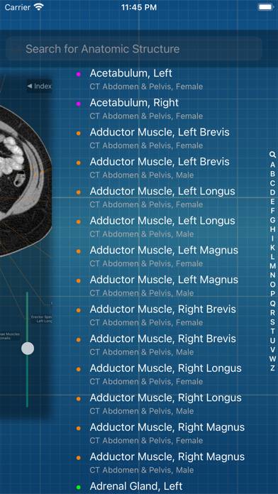 X-Anatomy Pro Schermata dell'app #3