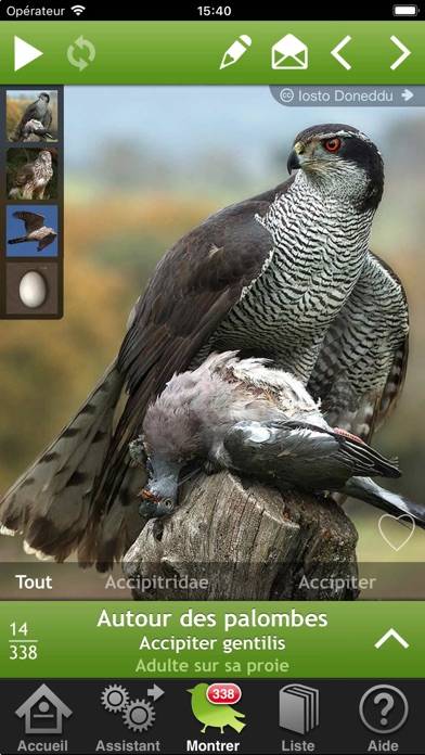 Birds of Britain and Europe App screenshot #1