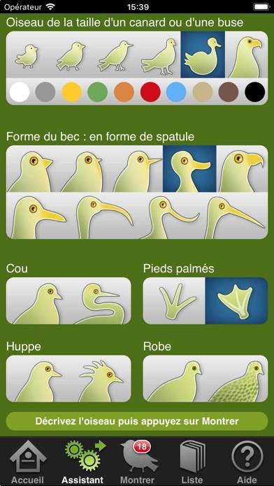 Birds of Britain and Europe App screenshot #3