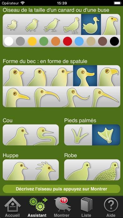 Oiseaux en poche Capture d'écran de l'application