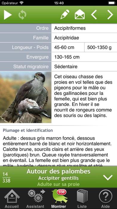 Oiseaux en poche Capture d'écran de l'application