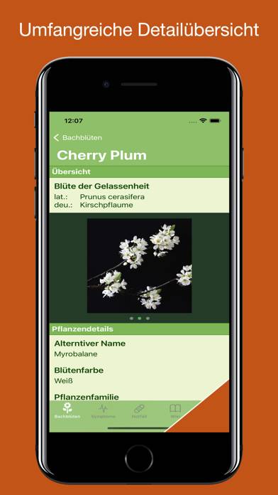 Bachblüten Lexikon App-Screenshot #4