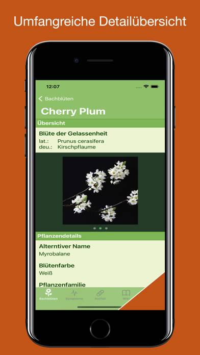 Bachblüten Lexikon Capture d'écran de l'application