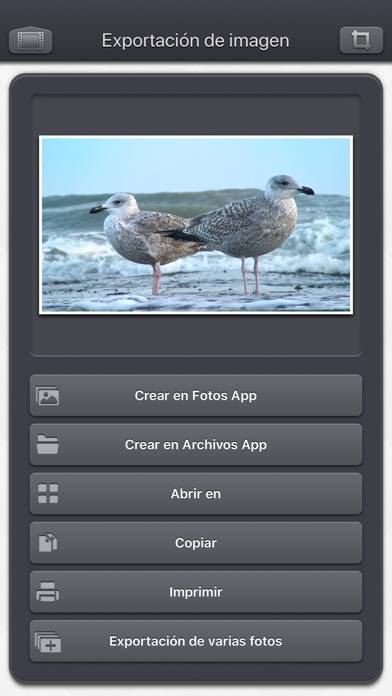 Video 2 Photo App-Screenshot #4
