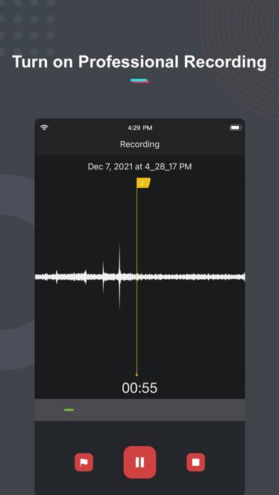Voice Recorder & Memos Pro Captura de pantalla de la aplicación #1