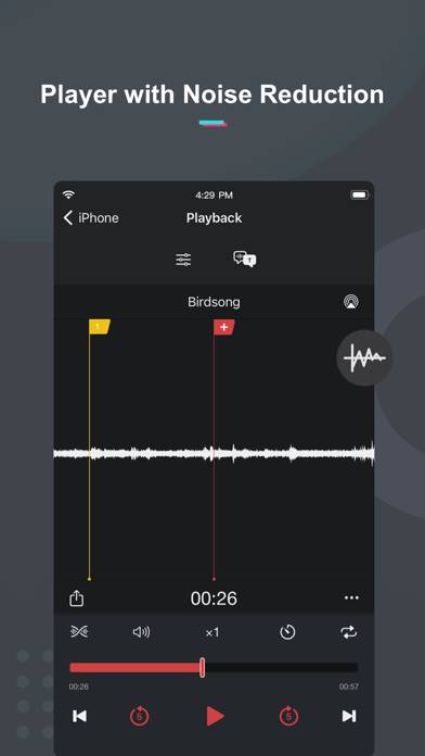 Voice Recorder & Memos Pro Uygulama ekran görüntüsü #2