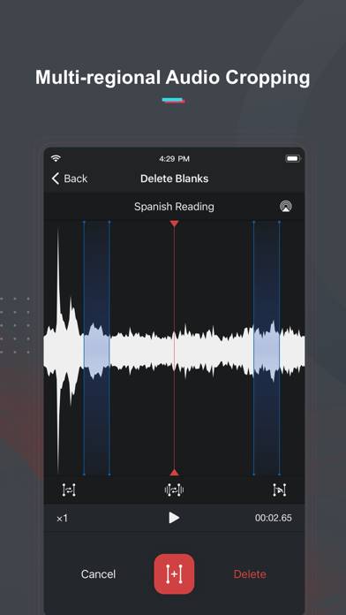 Voice Recorder & Memos Pro Captura de pantalla de la aplicación #4