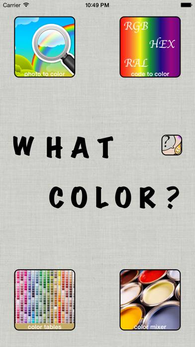 What Color? Schermata dell'app #1