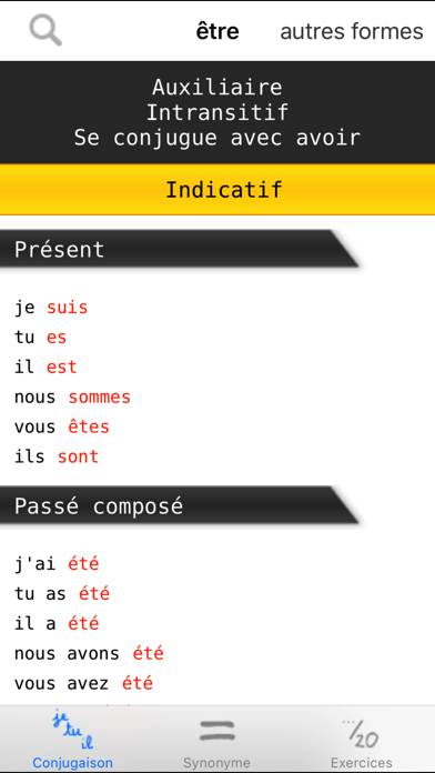 French verbs conjugation App screenshot #3