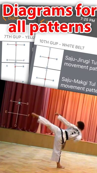 Taekwon-do ITF Patterns App skärmdump #4