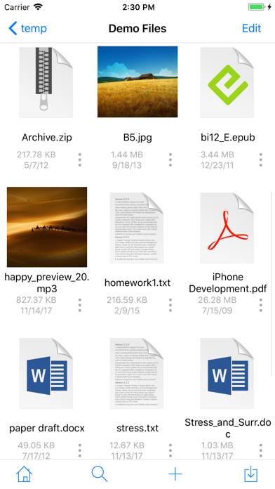 FE File Explorer Pro App skärmdump #4