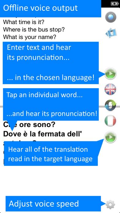 Translate Offline: Italian Pro App screenshot #3