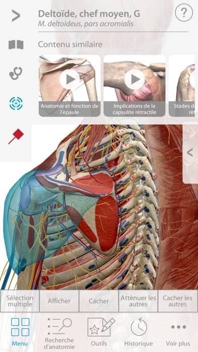 Muscles & Kinesiology Captura de pantalla de la aplicación #1