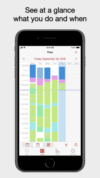 Now Then Time Tracking Pro Captura de pantalla de la aplicación #2
