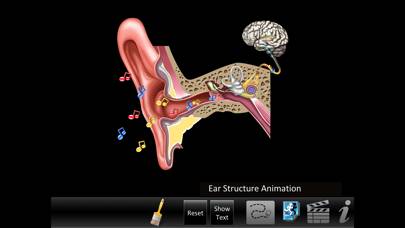Ear ID skärmdump