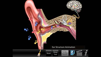 Ear ID skärmdump