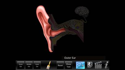 Ear ID App skärmdump