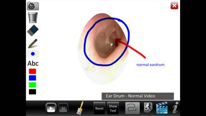 Ear ID App skärmdump