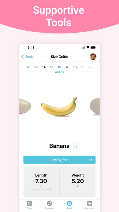 Pregnancy plus | Tracker App Captura de pantalla de la aplicación #2