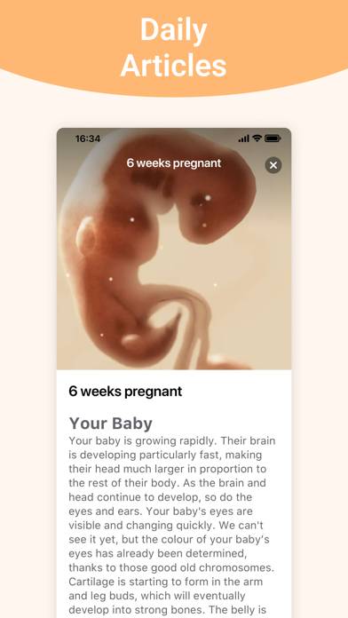 Pregnancy plus | Tracker App Captura de pantalla de la aplicación #3