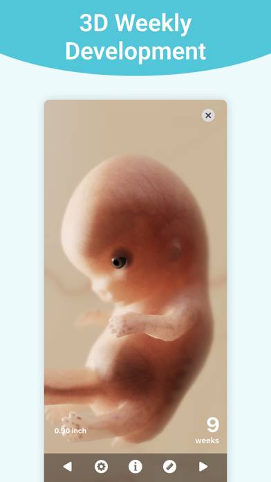 Pregnancy plus | Tracker App Captura de pantalla de la aplicación #5