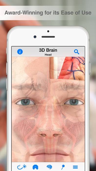 Pocket Brain App screenshot #1