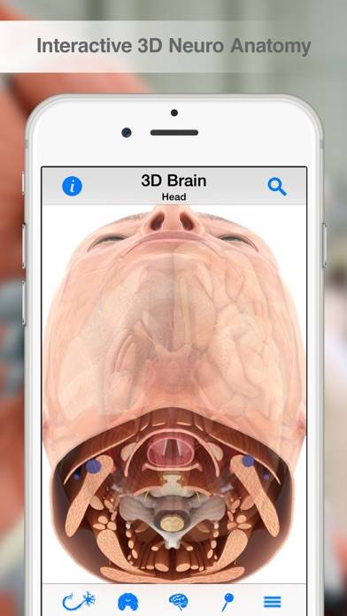 Pocket Brain App-Screenshot #2