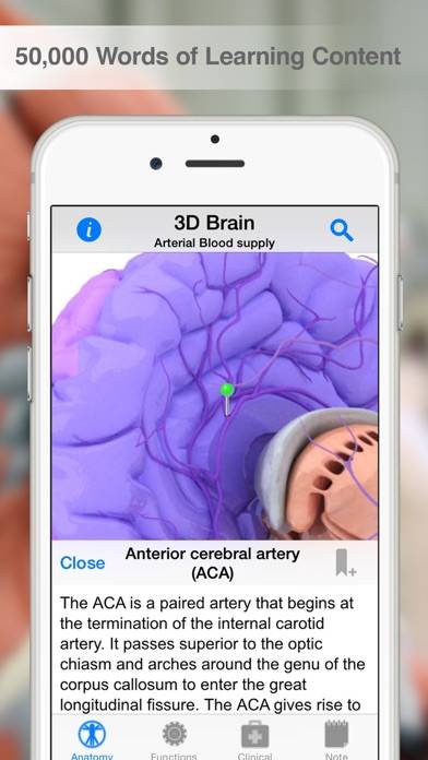 Pocket Brain App screenshot #3