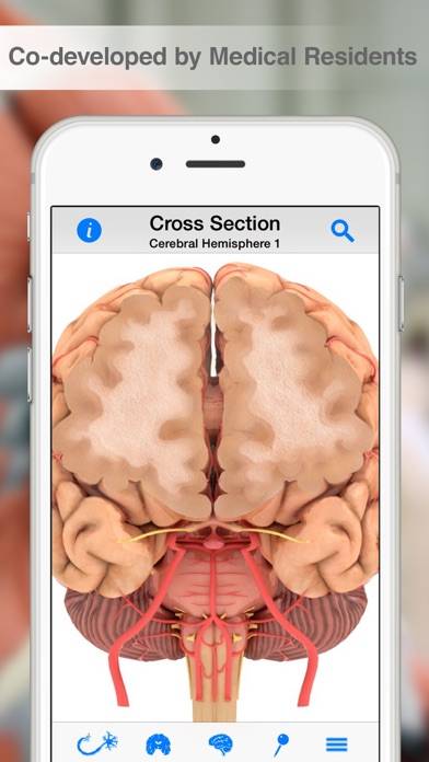 Pocket Brain Captura de pantalla de la aplicación #5