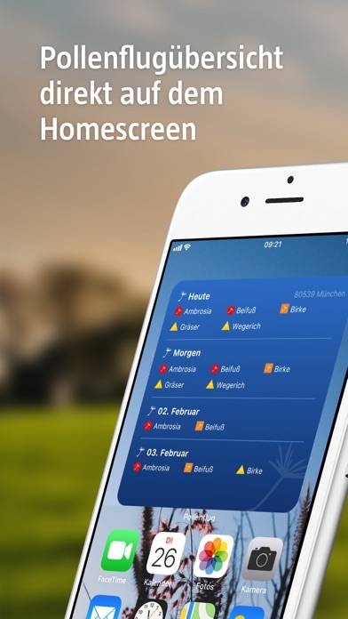 Pollenflug-Vorhersage App-Screenshot #1
