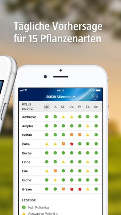 Pollenflug-Vorhersage App-Screenshot #2