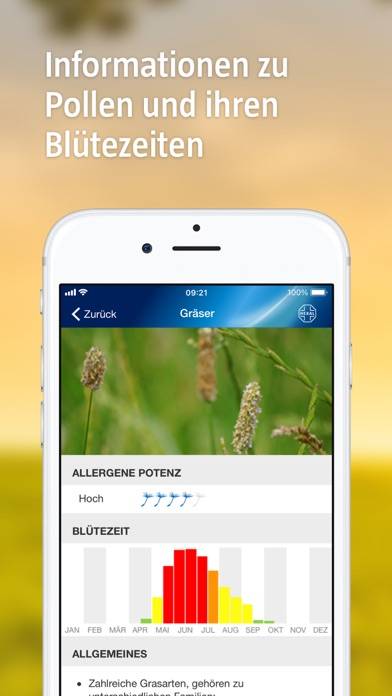 Pollenflug-Vorhersage App-Screenshot