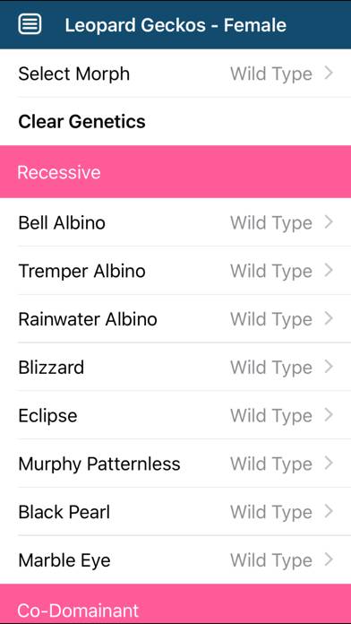  immagine dello schermo