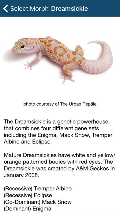 Reptile Calculator Schermata dell'app