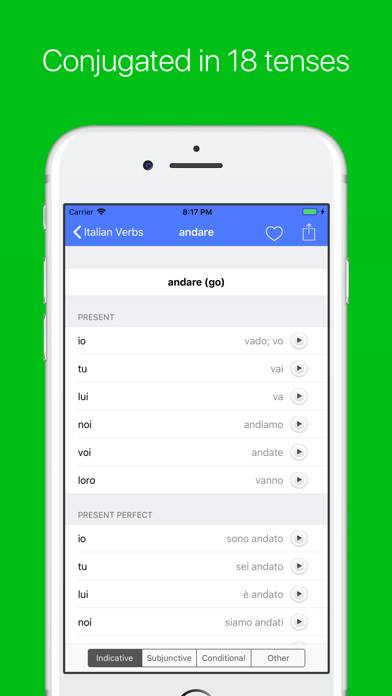 Italian Verb Conjugator Pro App screenshot #3