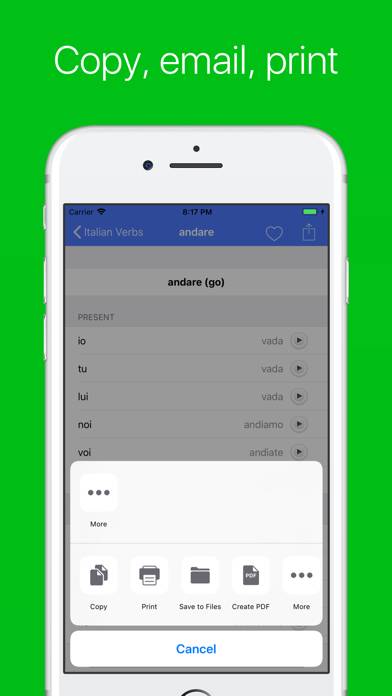 Italian Verb Conjugator Pro Capture d'écran de l'application #4