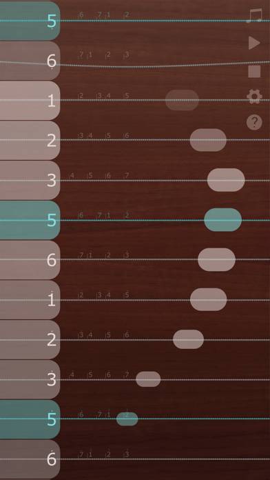 IGuzheng Schermata dell'app #1