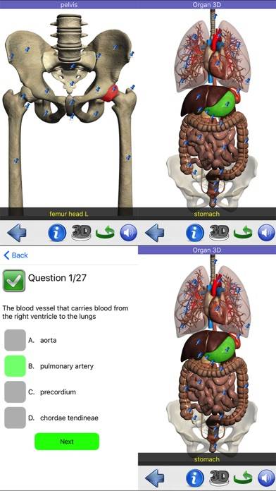 Visual Anatomy Capture d'écran de l'application #6