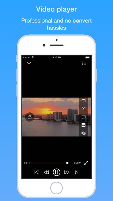 File Hub Pro by imoreapps Скриншот приложения #6