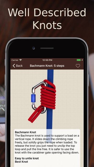 Animated 3D Knots App screenshot