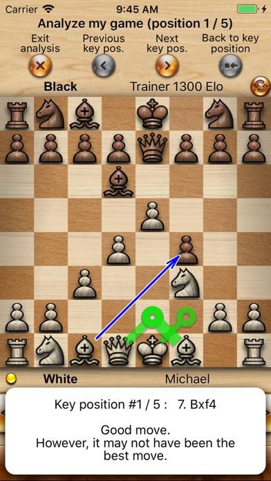 Chess without ads App-Screenshot #2