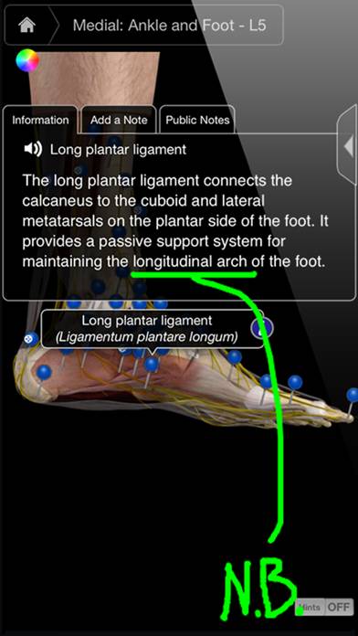 Ankle & Foot Pro III Captura de pantalla de la aplicación #2