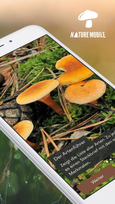 Mushrooms PRO App screenshot #1